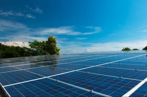 Searching for reliable solar p
