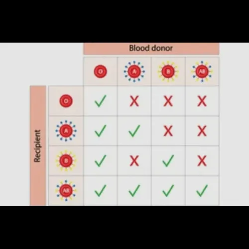 Blood groups are categorized b