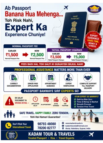 new passport applications vado