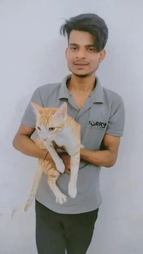update image