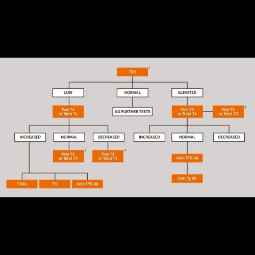 Anti-thyroid antibodies are pr