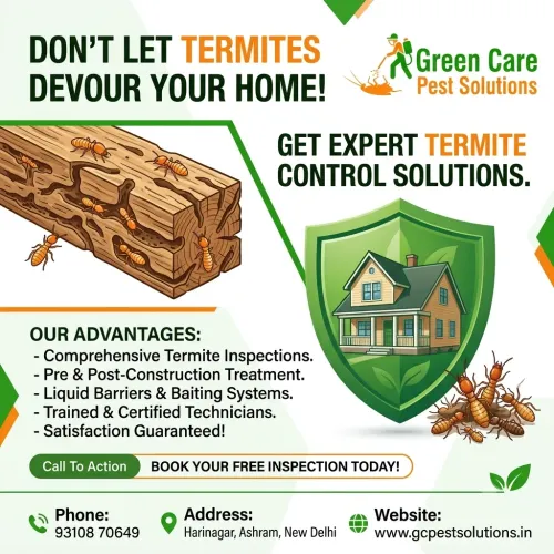 Termite Control Services in Sh