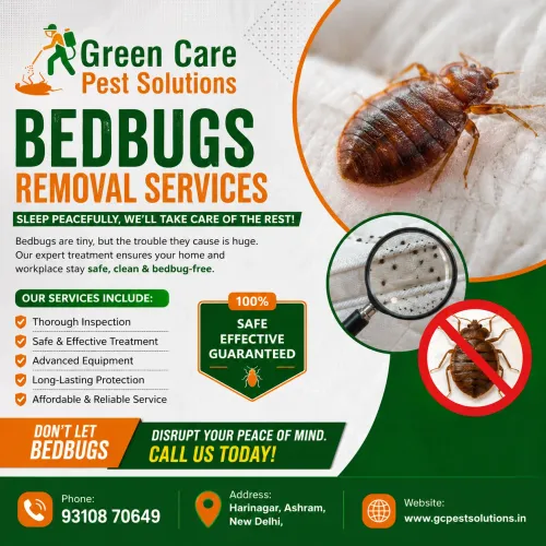 Bed Bugs Removal in Shanti Nik