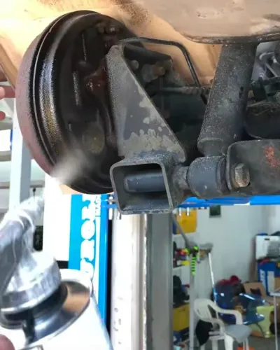 rat mesh service beejees carz