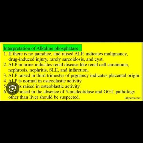 An alkaline phosphatase (ALP) 