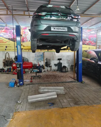 Best Place For Car Rat Mesh Ne