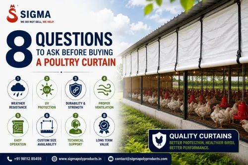 8 Questions to Ask Before Buying a Poultry Curtain