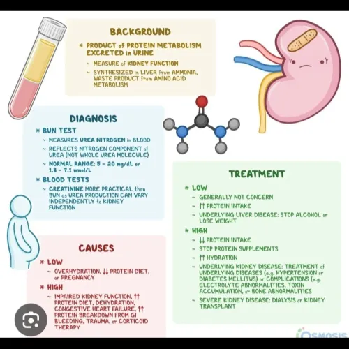 Blood Urea Nitrogen (BUN)A Blo