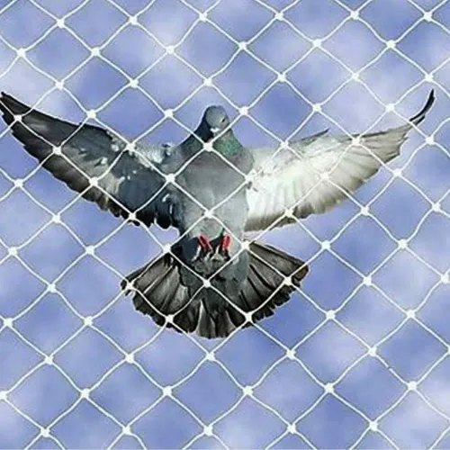 ✨ SAY GOODBYE TO PIGEON MESS FOREVER! ✨ Are birds 