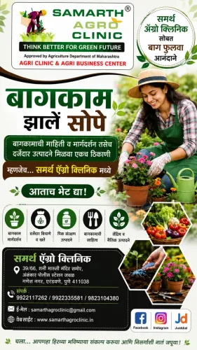 🌿 तुमच्या स्वप्नातील बाग