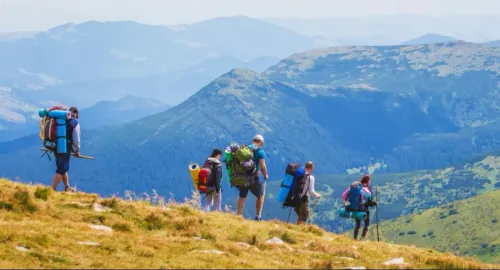 wildlife safaris mountain expe
