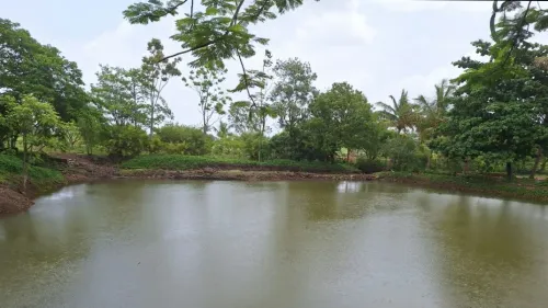 A full pond, lush greenery, co