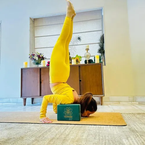 home yoga service in pitampura
