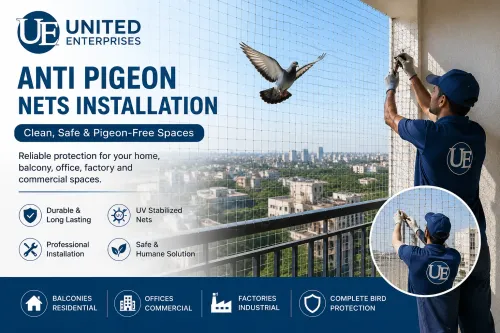 Anti Pigeon Nets Installation Services in Jaipur –
