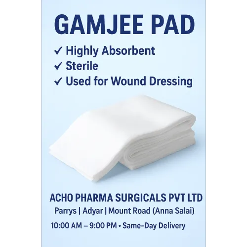 gamjee pad in adyar, gamjee pa