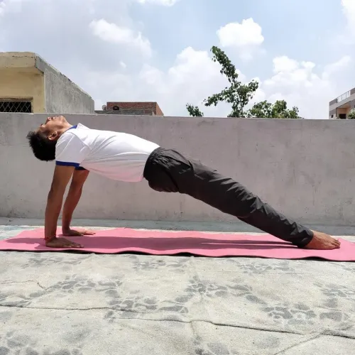 home yoga service in pitampura