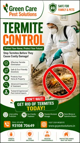 Termite Control in chanakyapur