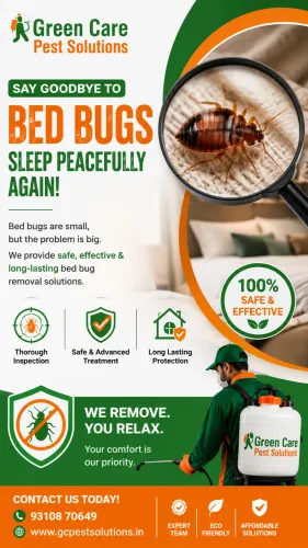 Bedbugs Control in Chanakyapur