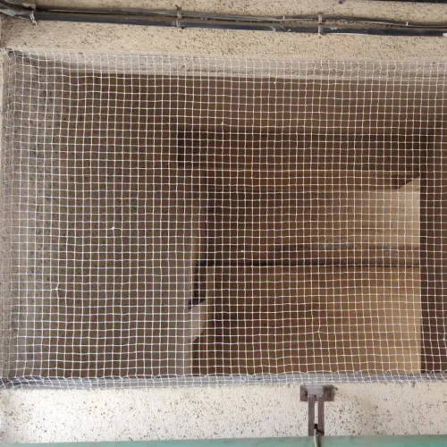 Soham Bird Pro Services provid