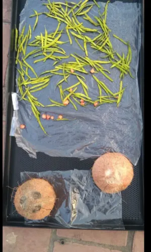 update image