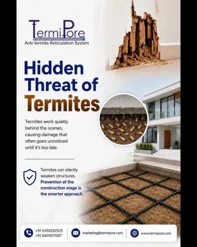 🐜 **The biggest termite