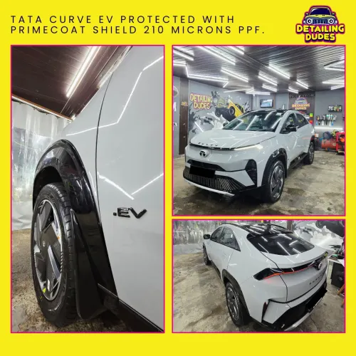 primecoat shield white colour