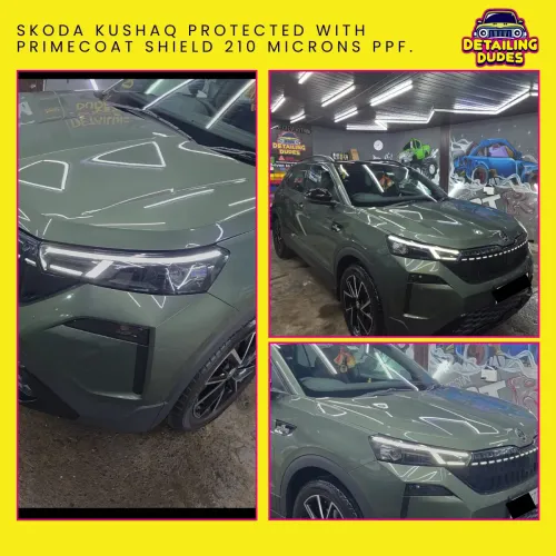 primecoat shield white colour