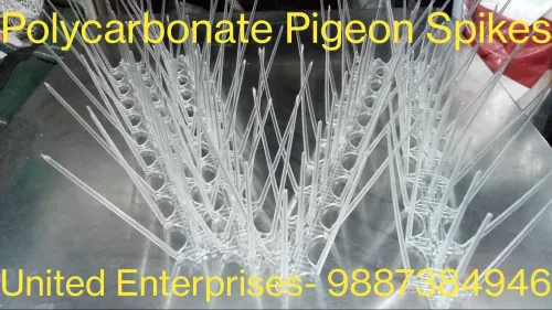 Anti Pigeon Spikes Installation Services – Protect