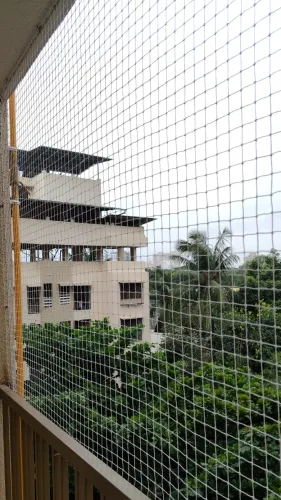 Soham Bird Pro Services provid
