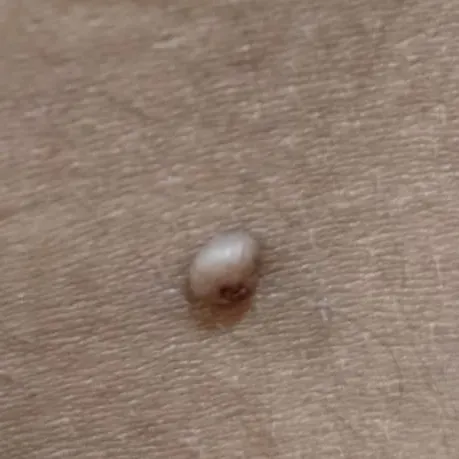 Vibha skin, hair and laser cli