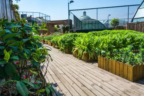 A well-planned Terrace Gardeni
