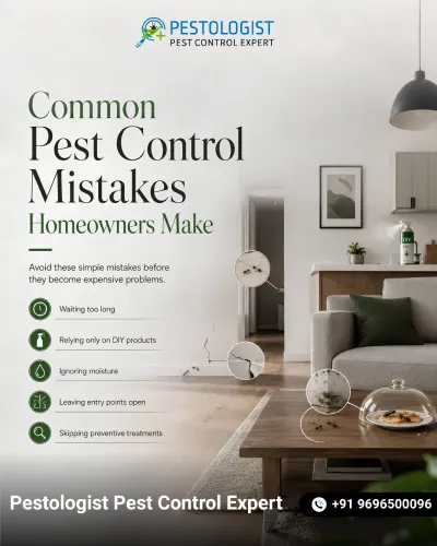 Pest Control In Jaipur Pe