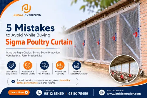 5 Mistakes to Avoid While Buying Sigma Poultry Cur