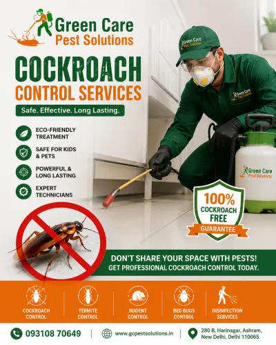 Cockroach 