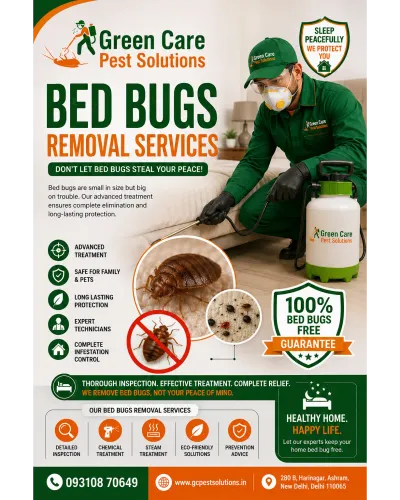 Bedbugs Removal Services in Ch