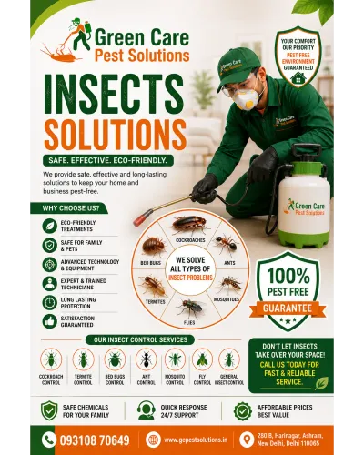 Insects Solutions in Chhatarpu