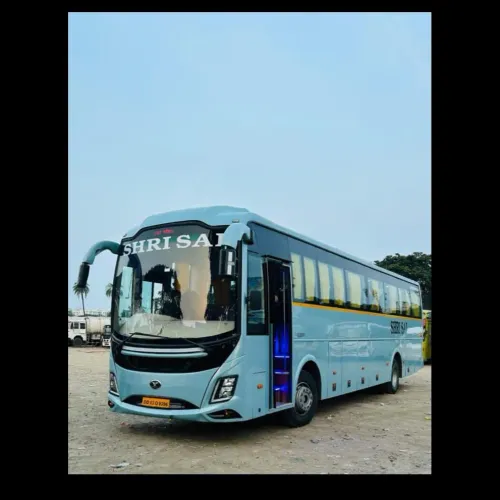 AC Bus & T