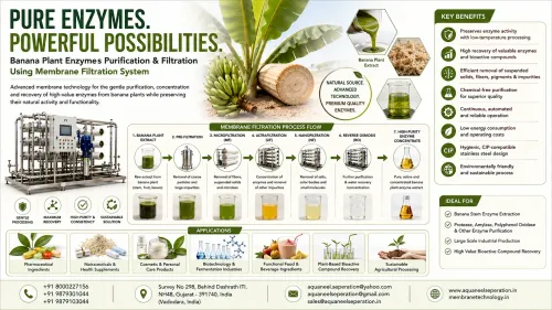 🌿 Purify Valuable Banana Plant Enzymes with Advan