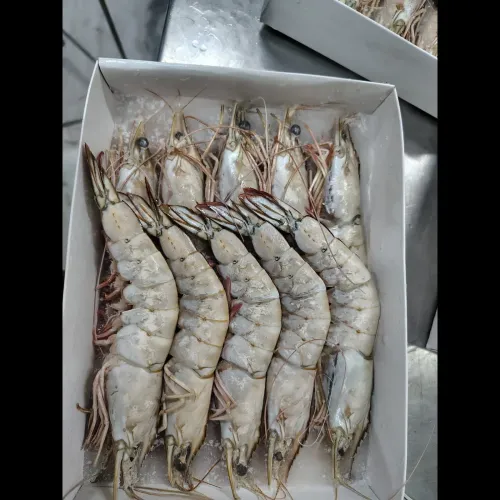 update image