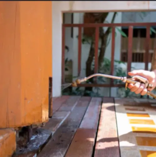 Looking for reliable termite
