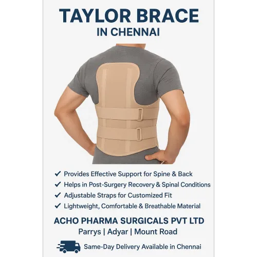 ðĶī Taylor Brace â Available at