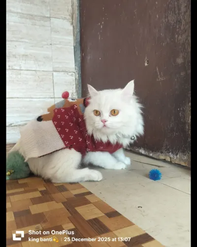 update image