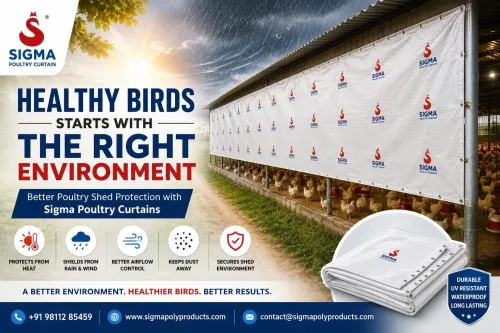 Healthy Birds Start with the Right Environment: Ho