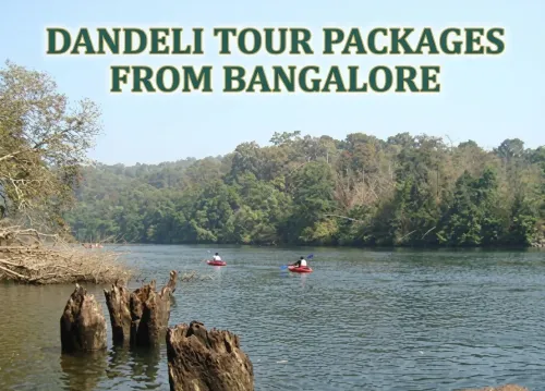 customized travel experiences
