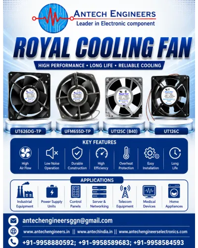 Royal Cool