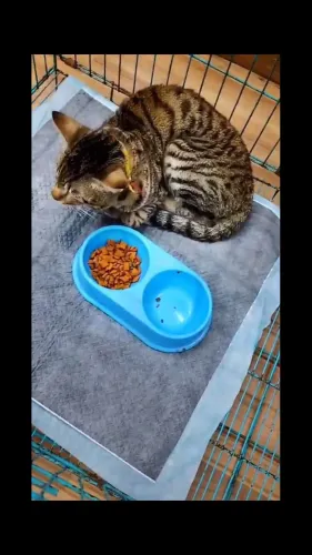 update image