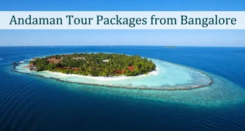 customized travel experiences