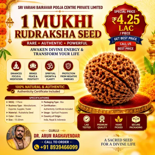 1 Mukhi Rudraksha | Rare Authe