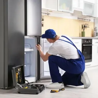 samsung double door fridge ser