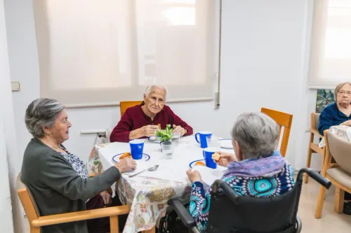 Explore how programs for senio
